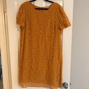 LOFT Lace Dress